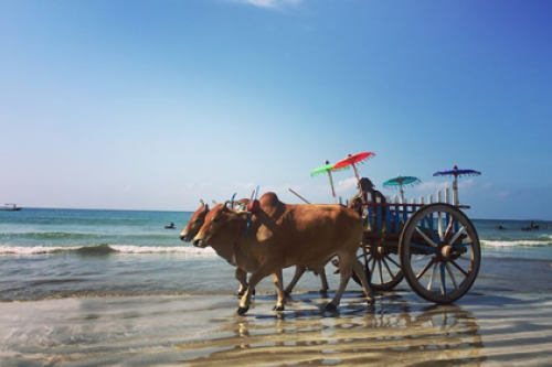 Ngwe Saung